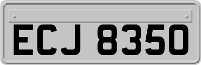 ECJ8350