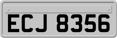 ECJ8356