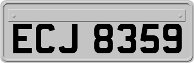 ECJ8359
