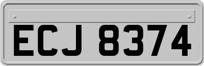 ECJ8374