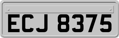ECJ8375