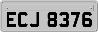 ECJ8376