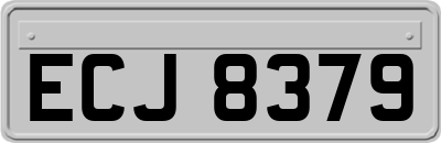 ECJ8379
