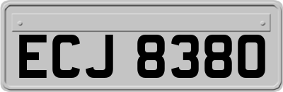 ECJ8380