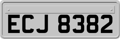 ECJ8382