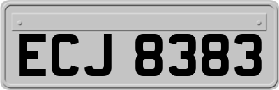 ECJ8383