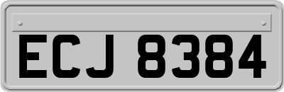 ECJ8384