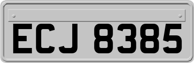 ECJ8385