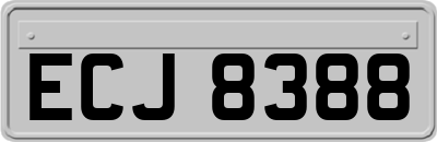 ECJ8388