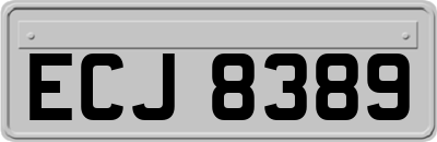 ECJ8389