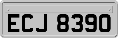 ECJ8390
