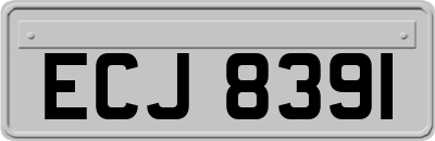 ECJ8391