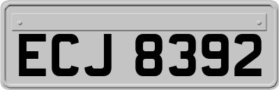 ECJ8392