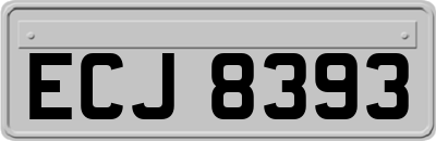 ECJ8393