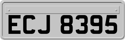 ECJ8395