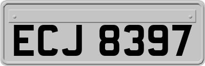 ECJ8397