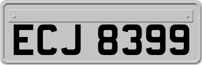 ECJ8399