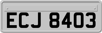 ECJ8403