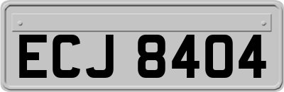 ECJ8404