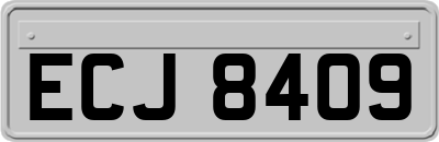 ECJ8409