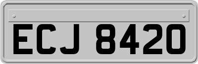 ECJ8420