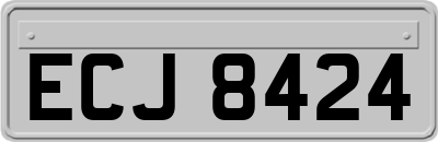 ECJ8424