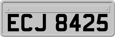 ECJ8425