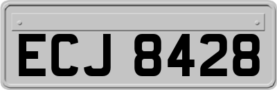 ECJ8428