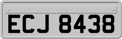 ECJ8438