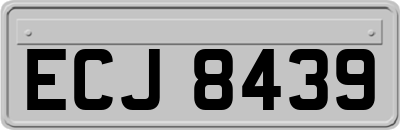 ECJ8439