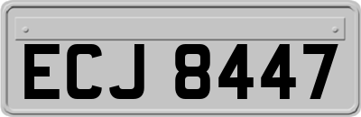 ECJ8447