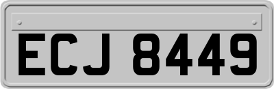 ECJ8449