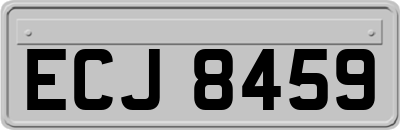 ECJ8459