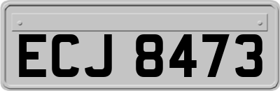 ECJ8473