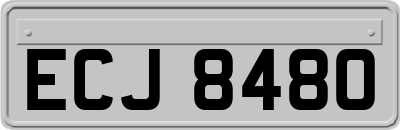 ECJ8480