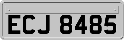 ECJ8485