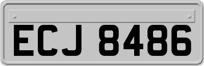 ECJ8486