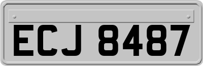 ECJ8487