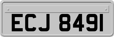 ECJ8491