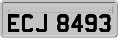 ECJ8493
