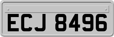ECJ8496