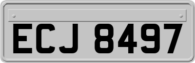 ECJ8497