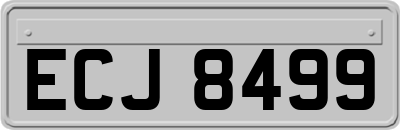 ECJ8499