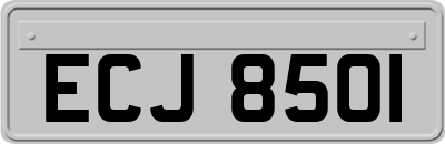 ECJ8501
