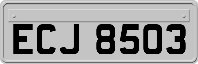 ECJ8503