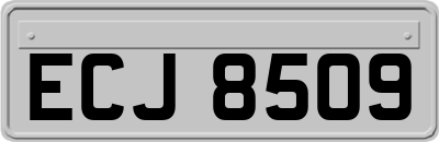 ECJ8509
