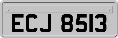 ECJ8513