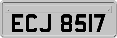 ECJ8517