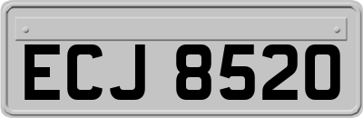 ECJ8520
