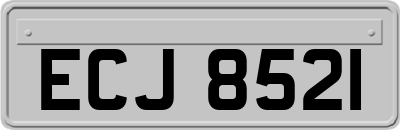 ECJ8521